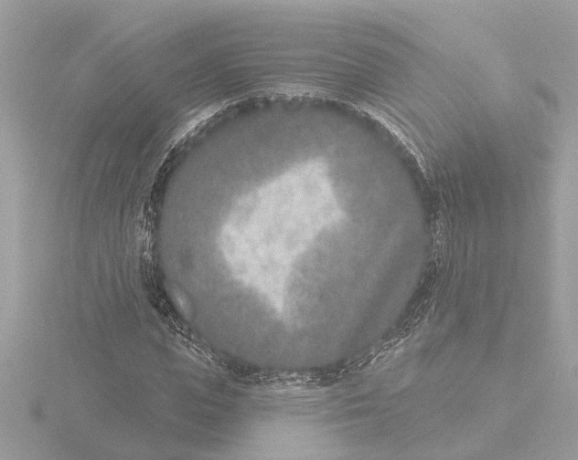 X0000116150823200912211507