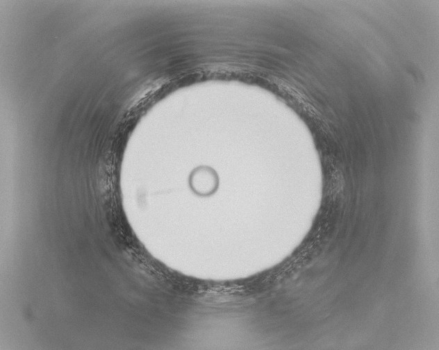 X0000116150824200912211507