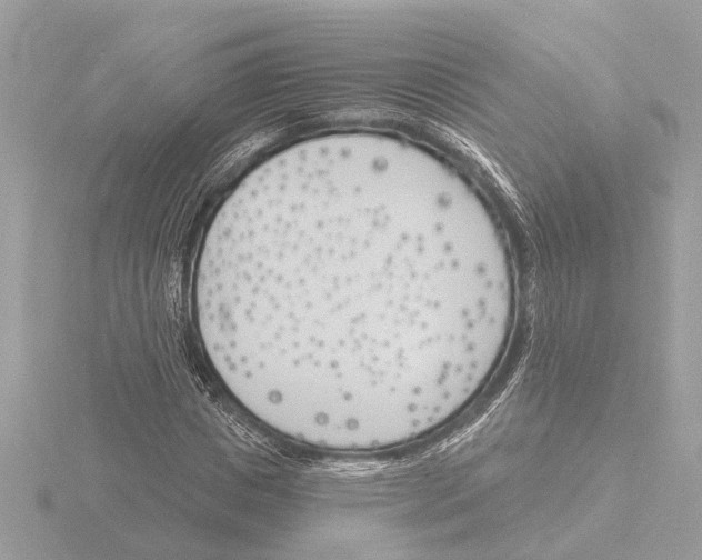 X0000116150825200912211507