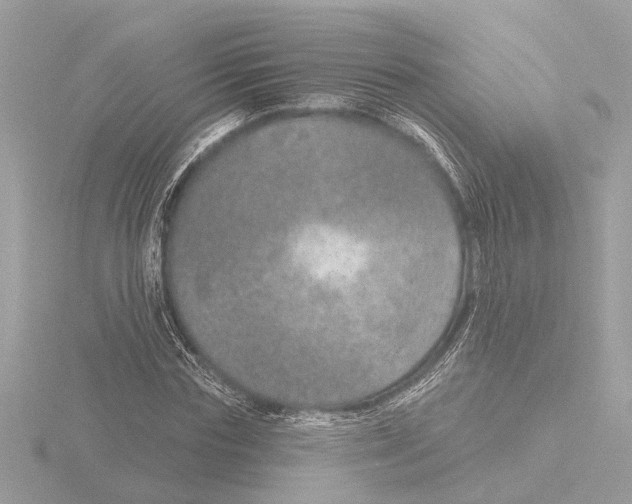 X0000116150827200912211507