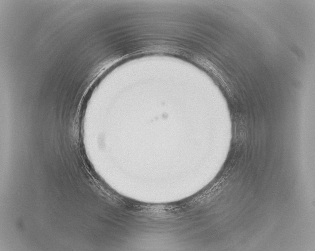 X0000116150828200912211507