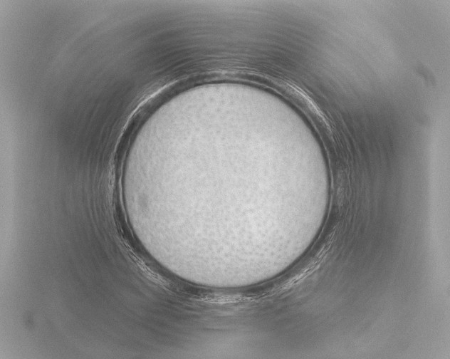 X0000116150831200912211507