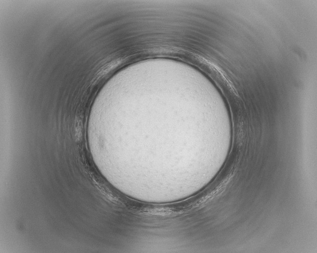 X0000116150833200912211507