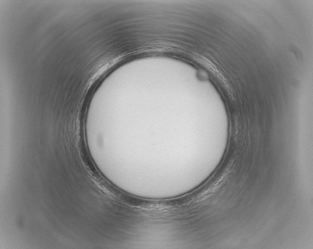 X0000116150834200912211507