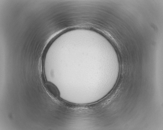 X0000116150838200912211507