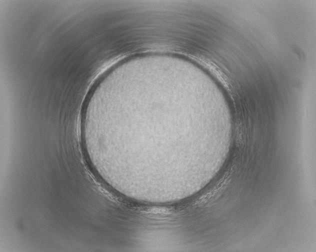 X0000116150839200912211507