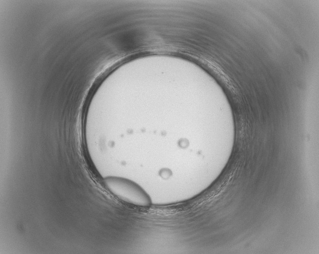 X0000116150840200912211507