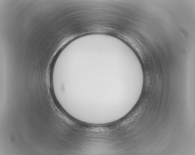 X0000116150843200912211507