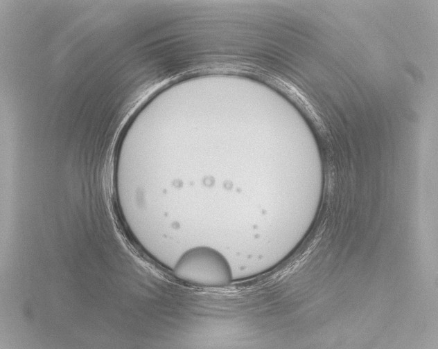 X0000116150844200912211507