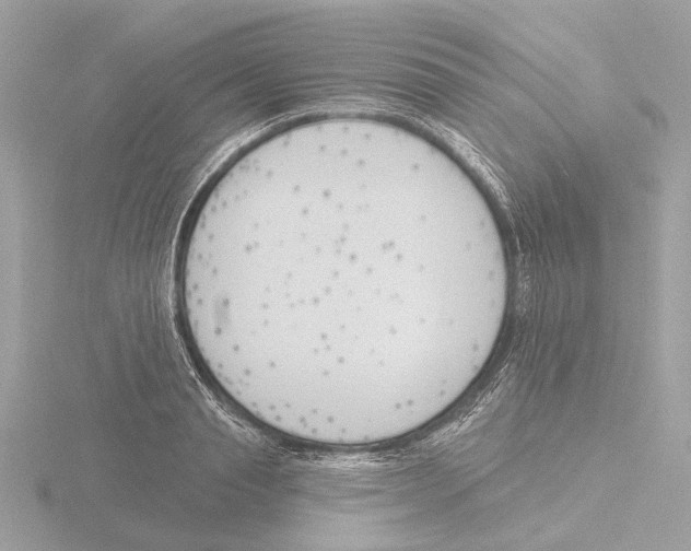 X0000116150845200912211507