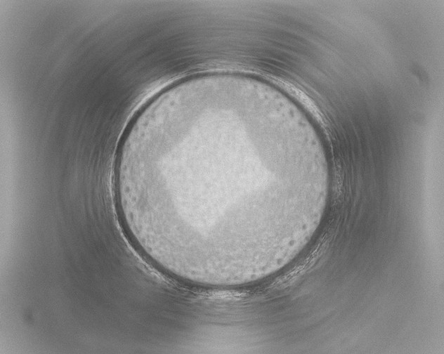 X0000116150847200912211507