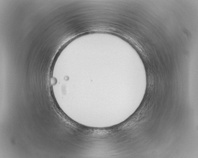 X0000116150848200912211507