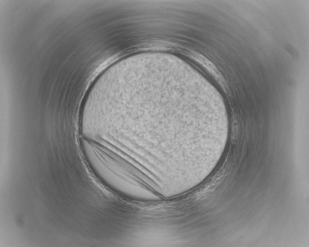 X0000116150850200912211507