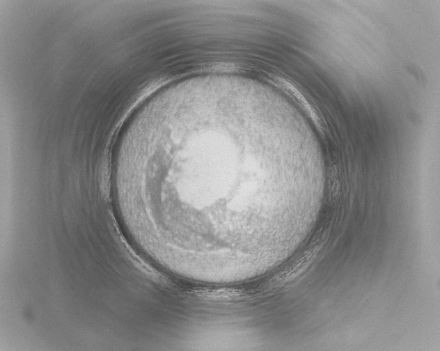 X0000116150851200912211507