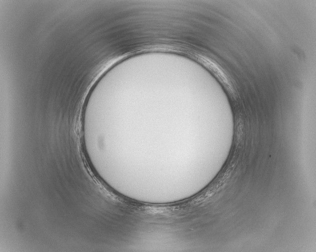 X0000116150852200912211507