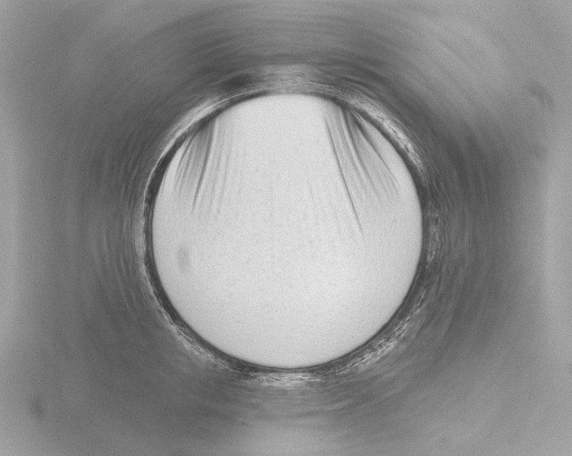 X0000116150853200912211507