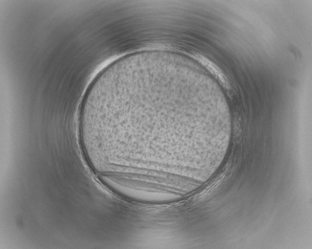 X0000116150854200912211507