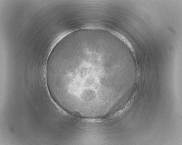 X0000116150855200912211507