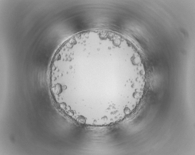 X0000116150856200912211507