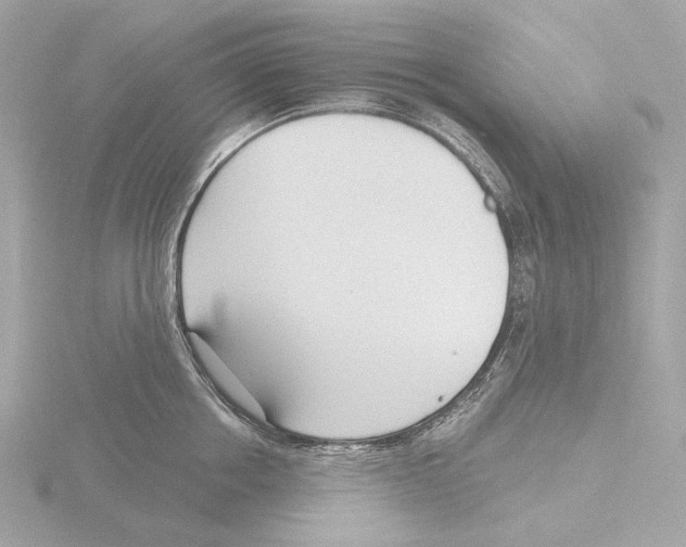 X0000116150858200912211507