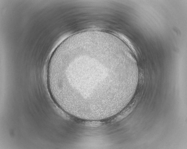 X0000116150859200912211507