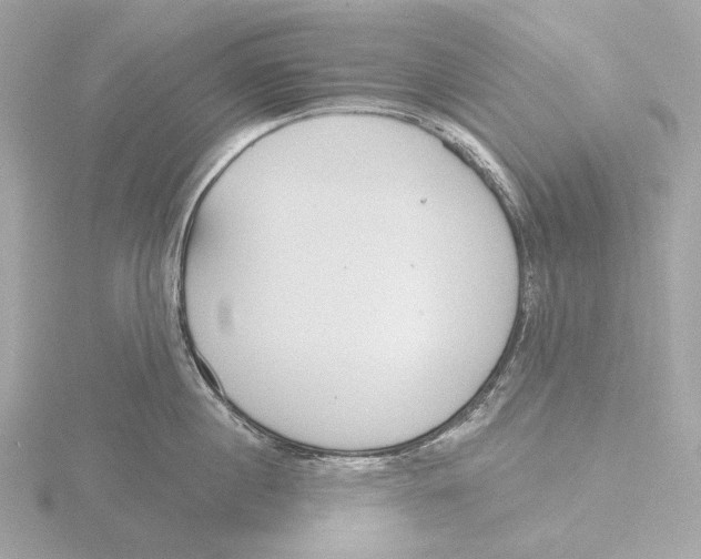 X0000116150860200912211507