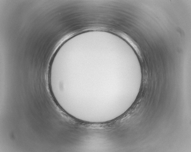 X0000116150861200912211507