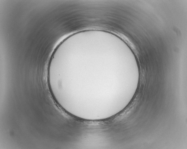 X0000116150862200912211507