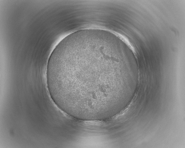 X0000116150863200912211507