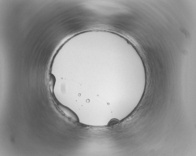 X0000116150864200912211507