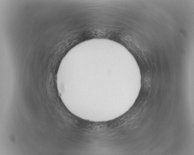 X0000116150865200912211507