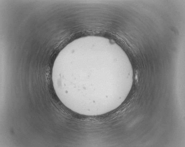 X0000116150867200912211507