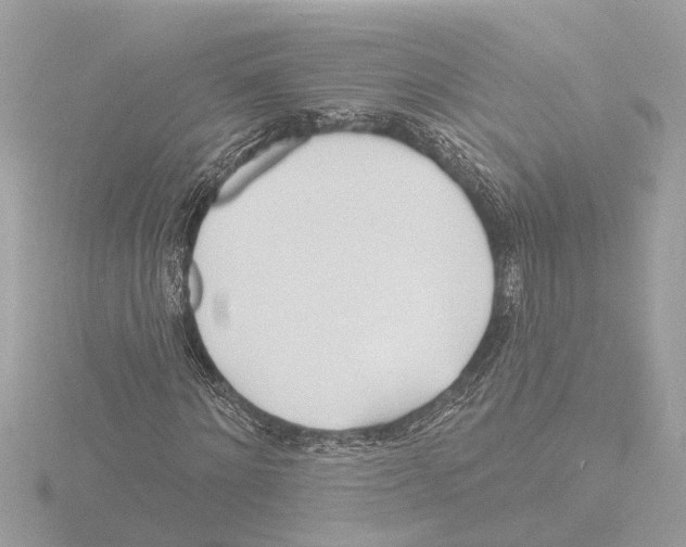 X0000116150868200912211507