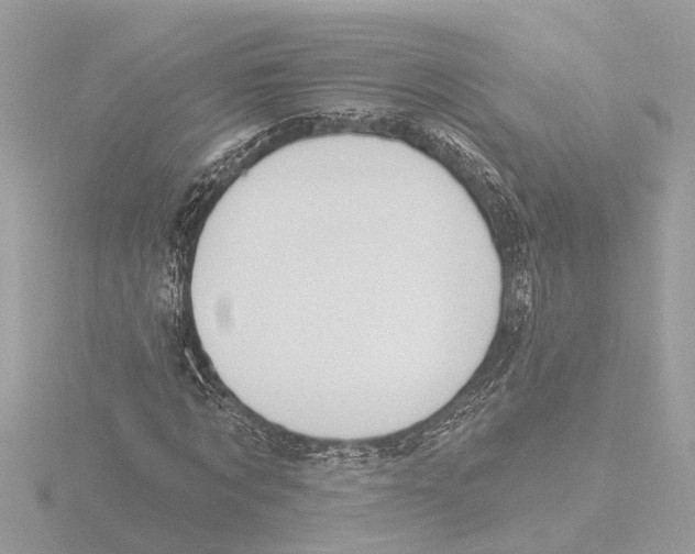 X0000116150869200912211507