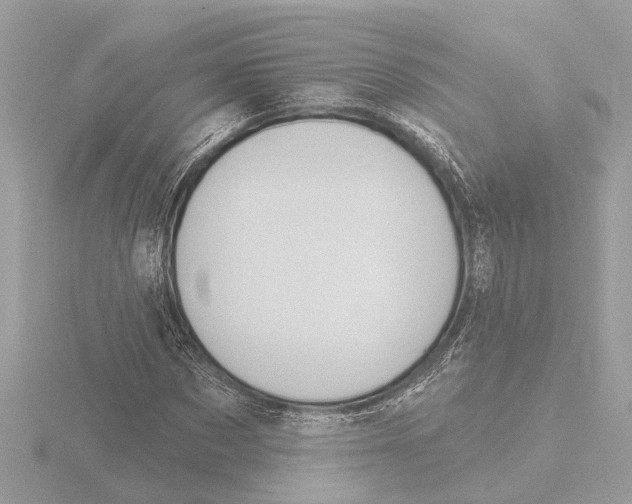 X0000116150873200912211507