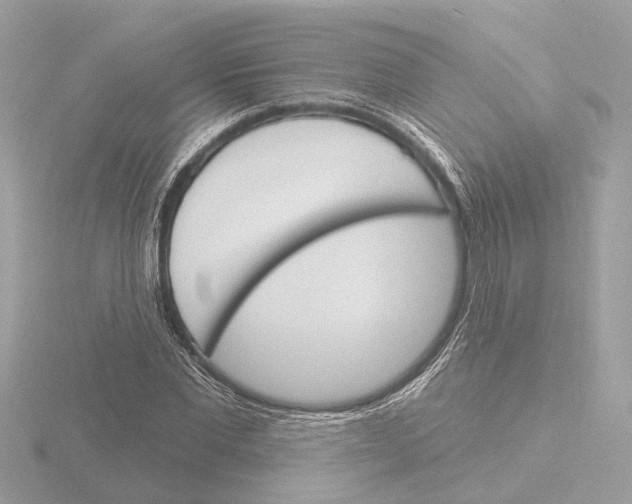 X0000116150877200912211507