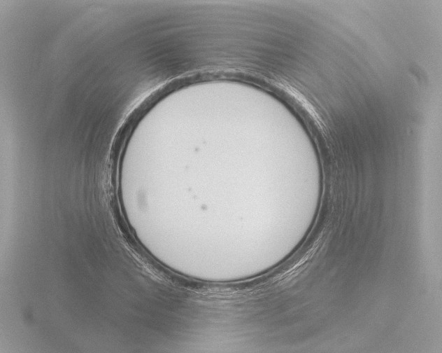 X0000116150878200912211507