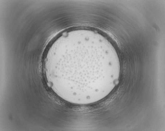 X0000116150879200912211507