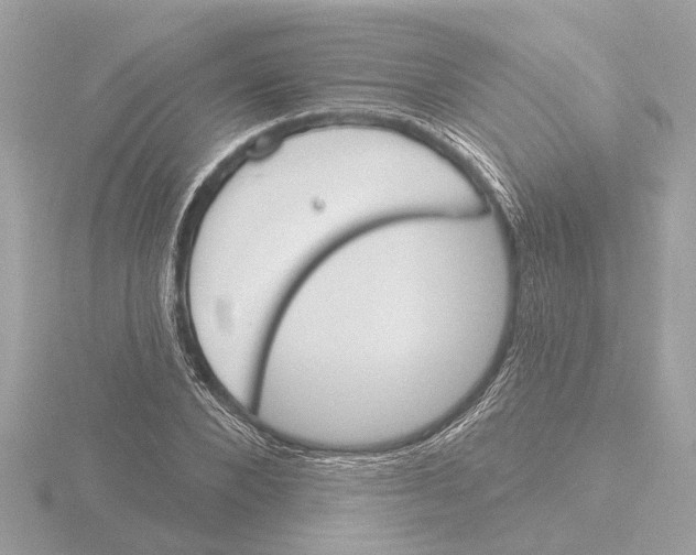 X0000116150880200912211507