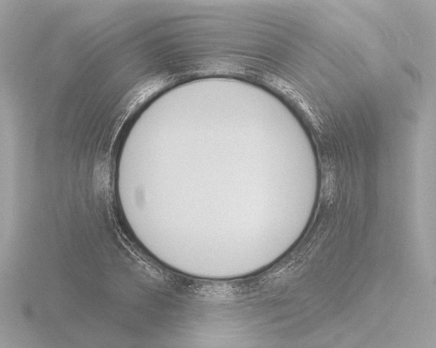 X0000116150882200912211506