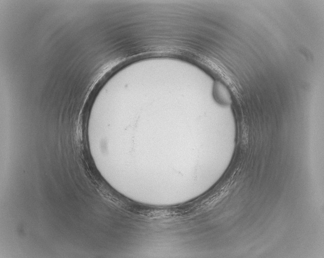 X0000116150883200912211506