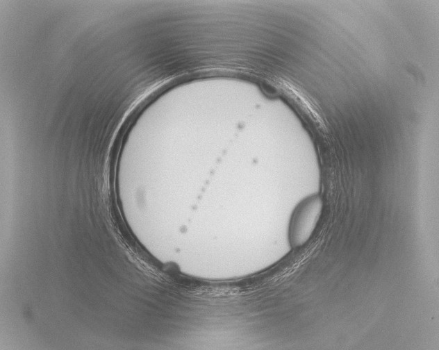 X0000116150884200912211506