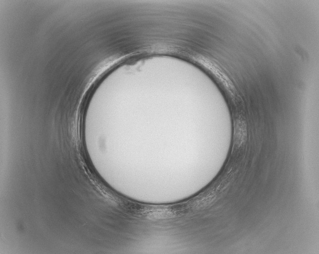 X0000116150886200912211506