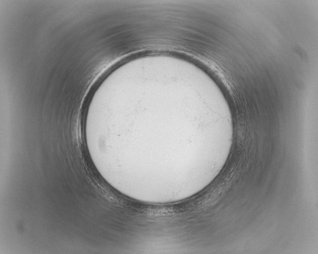 X0000116150887200912211506