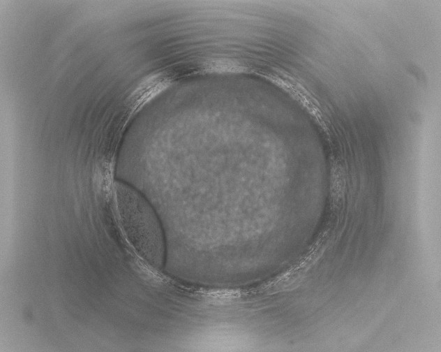 X0000116150889200912211506