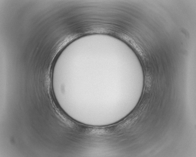 X0000116150890200912211506