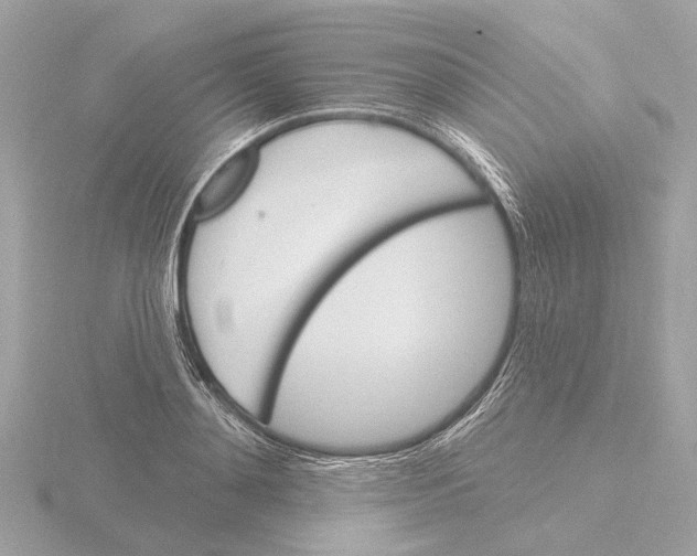 X0000116150892200912211506