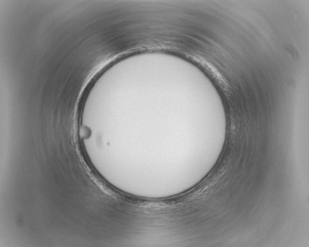 X0000116150894200912211506