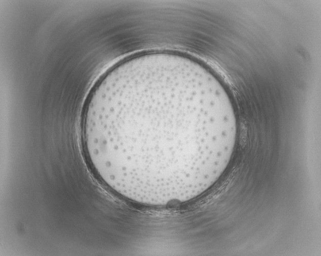 X0000116150895200912211506