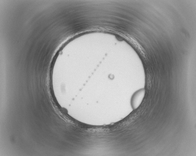 X0000116150896200912211506